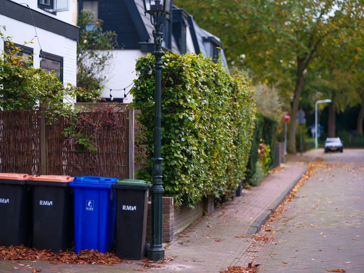 Bereitgestellte Mülltonnen in einer gepflegten Wohnstraße